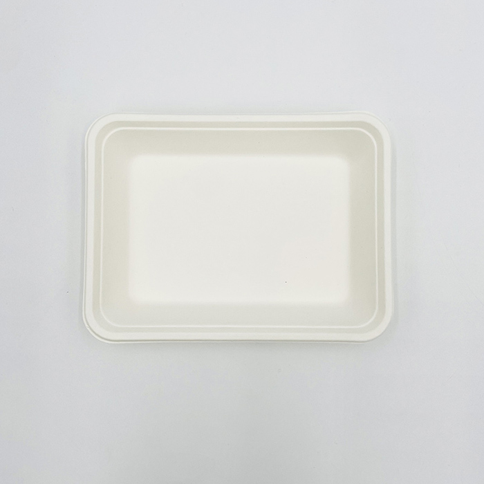 Paper Pulp Tray Bagasse Chip Tray