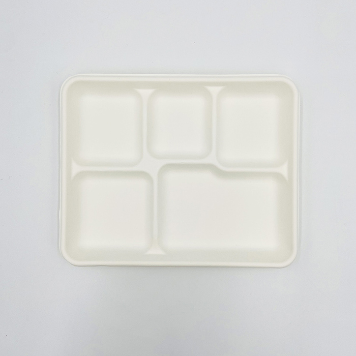 Pulp Tray Packaging Bagasse Meal Tray