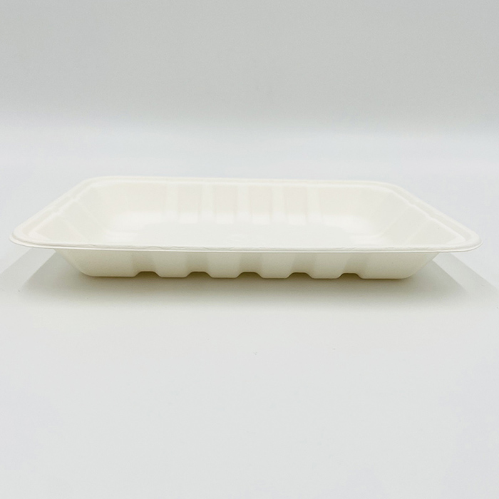 Paper Pulp Moulded Trays Bagasse Sushi Tray
