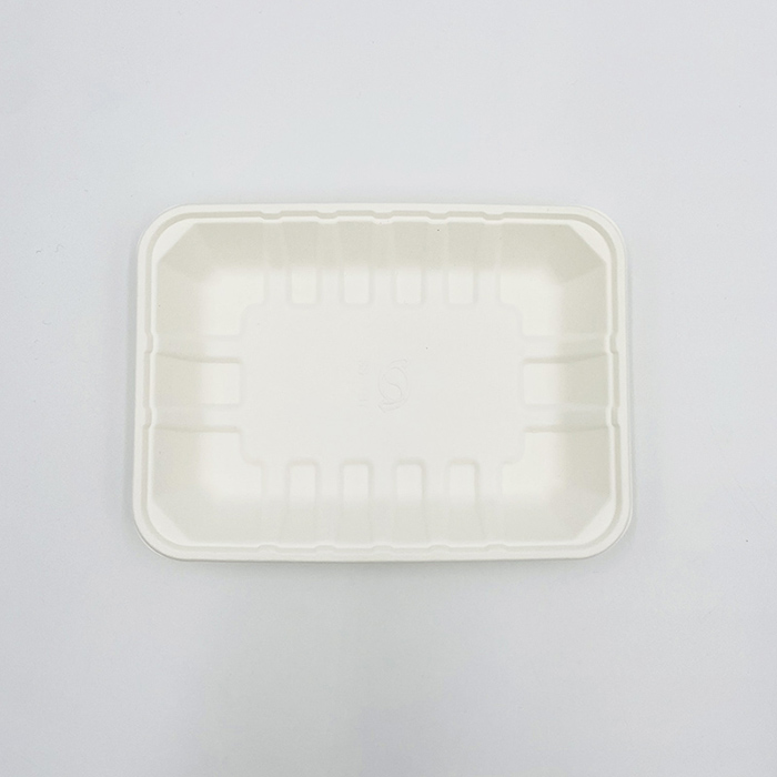 Paper Pulp Moulded Trays Bagasse Sushi Tray