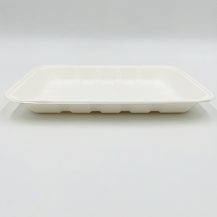 Pulp Food Trays Tiefkühlkost-Tablett