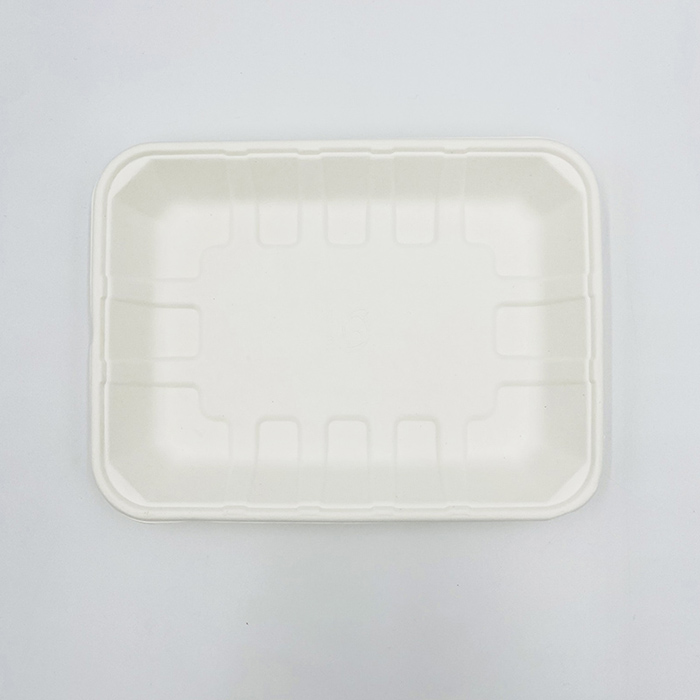 Pulp Food Trays Frozen Food Tray