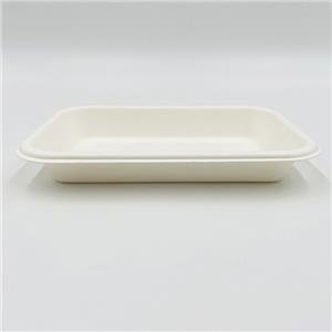 Pulp Food Tray Frozen Food Tray Packaging