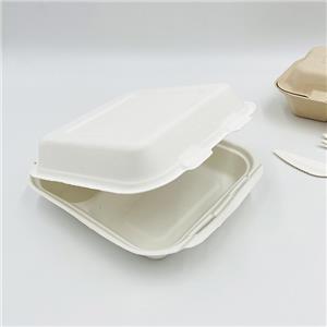 Composteerbare afhaalcontainers Biologisch afbreekbare containers voor voedsel