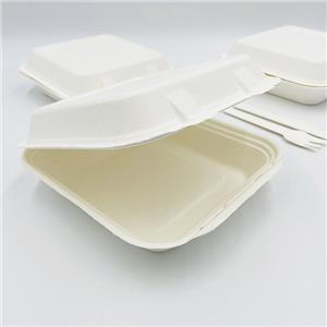 Bagasse Food Box Pizza Box