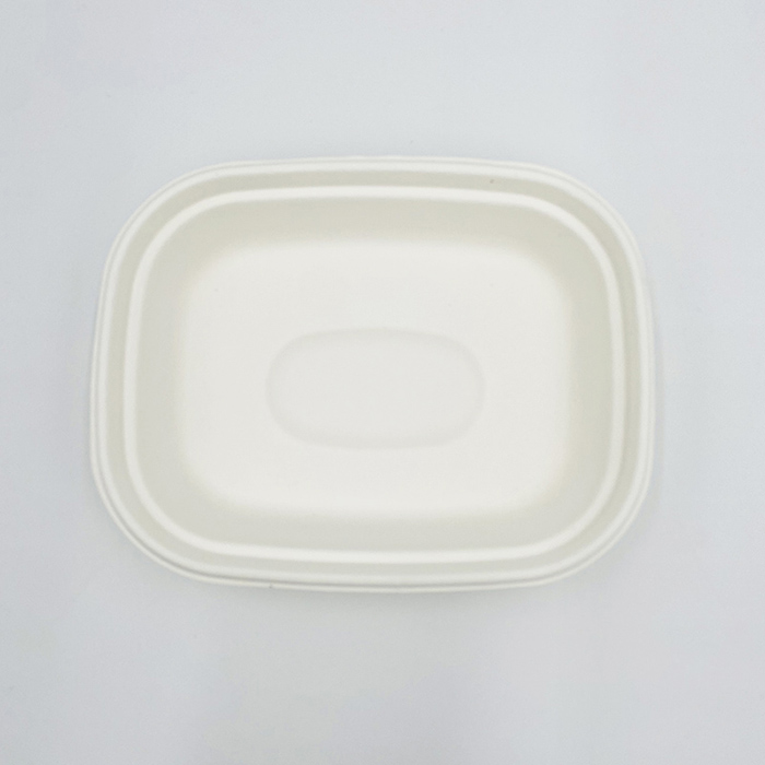 Compostable Takeout Boxes Rectangular Bowl