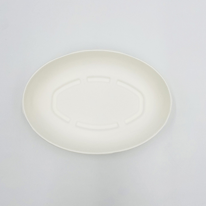 Compostable Food Platter Boxes Dinnerware Bowl