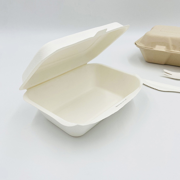 Zuckerrohr-Bagasse-Nahrungsmittelbehälter Bagasse-Lunchbox