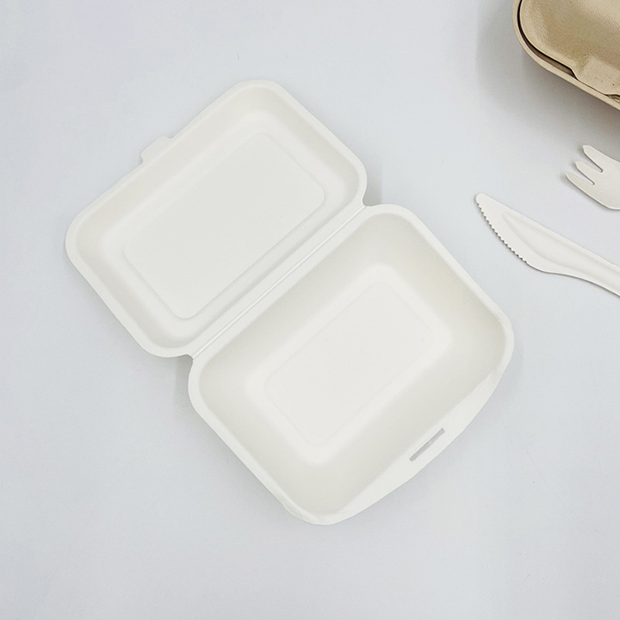 Sugarcane Bagasse Food Containers Bagasse Lunch Box
