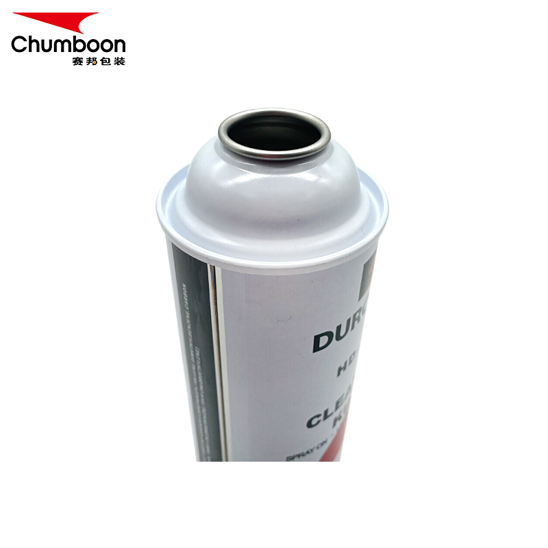 Pesticide Control Spray Aerosol Insecticide Spray Can 52x195mm For Insecticide Spray 300ml