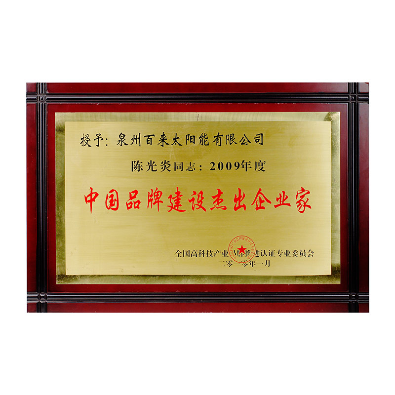 Outstanding Entrepreneur of Chinese Brand Building