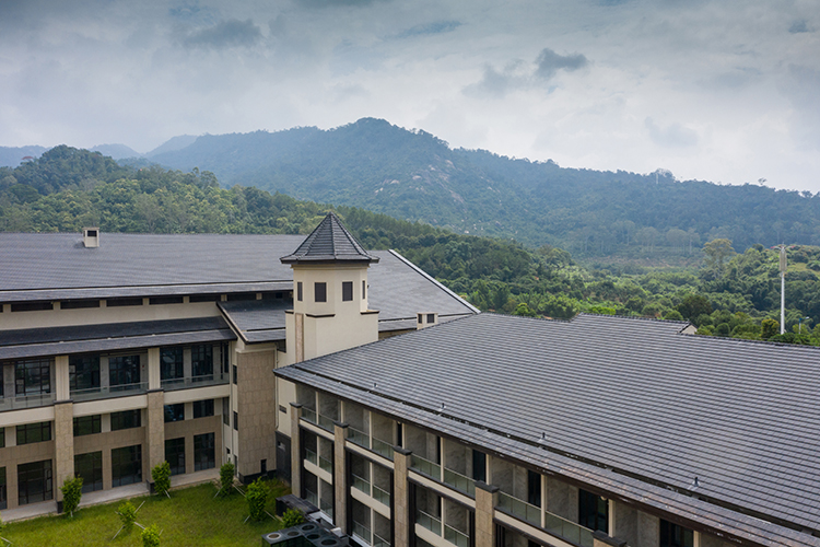 Galaxy Black Flat Terracota Roof Tiles