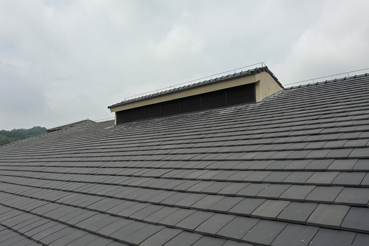 Galaxy Black Flat Terracota Roof Tiles