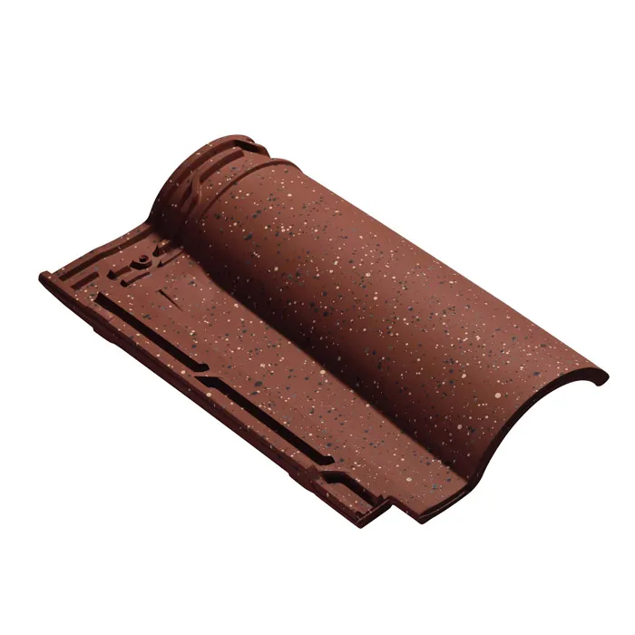 What are the black stains on my Roman clay roof tiles?