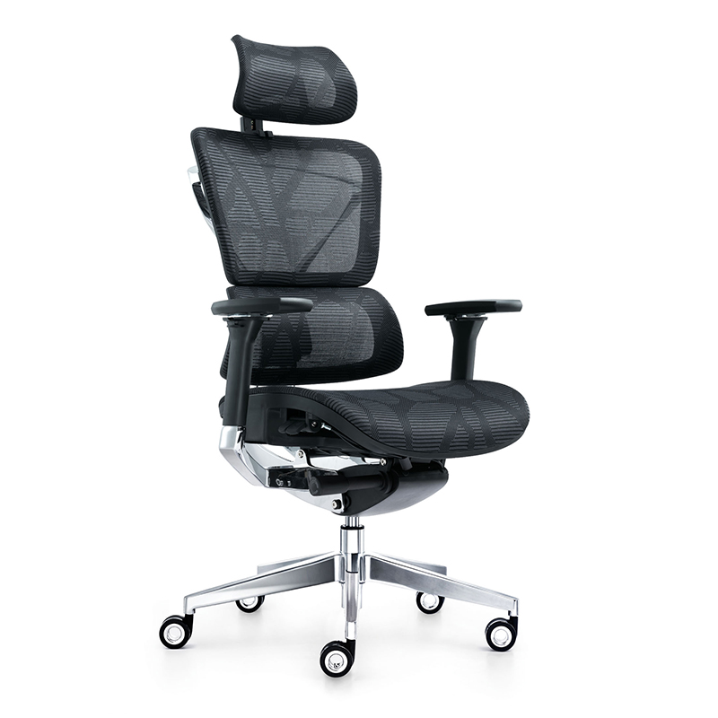 Stylish Ergonomic Mesh Office Boss Chair