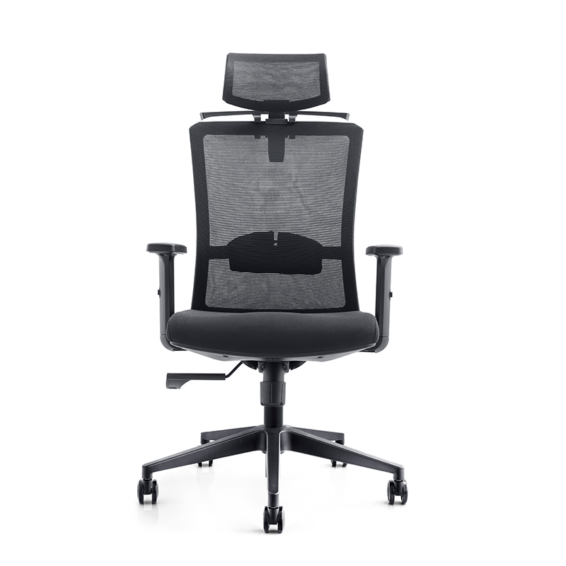 Modern Ergonomic Work Chair With Lumbar Support