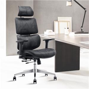 เก้าอี้สำนักงานที่ออกแบบตามหลักสรีรศาสตร์ ความสบายเหนือระดับและการออกแบบมาอย่างดี