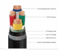 Ruiyang Group Copper XLPE Thick SWA Electrical Cable