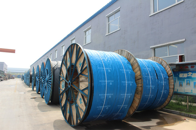 पैकेजिंग और डिलिवरी