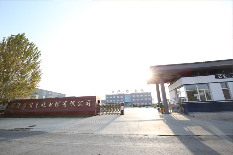 Ruiyang Grup Şirket Profili