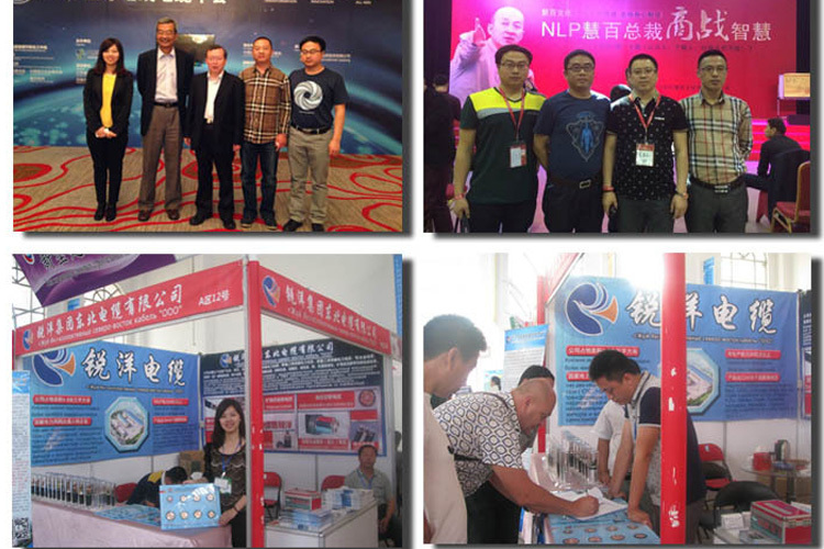 Ruiyangケーブル展示会''最初の北西ハードウェア電気機械見本市''