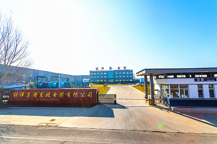 مجموعة رويانغ سي جي إن شانشي 100 وات لتوليد الطاقة الكهروضوئية، إنشاءات الطاقة الجديدة