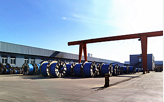 Ruiyang Northeast fue galardonada como