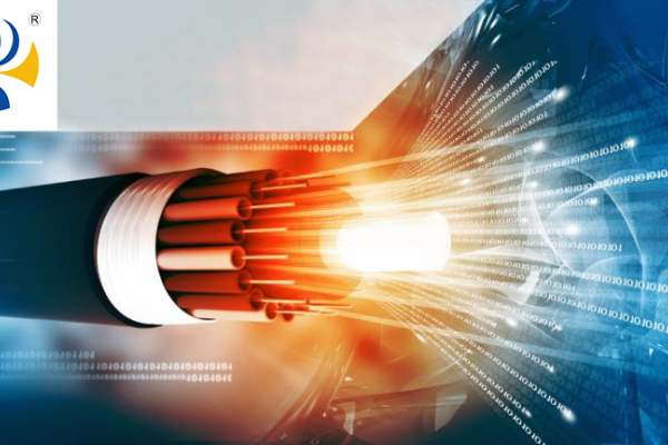 Electrical Wires and Cables: The Complete Guide