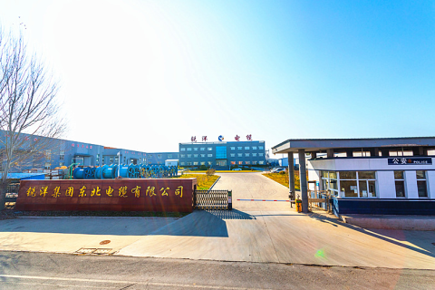 Ruiyang Group Northeast Cable Co., Ltd. nombrada entre las 100 principales empresas de cable de China por cuarto año consecutivo