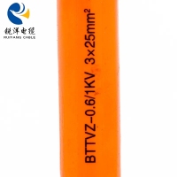 BTTVZ Mineral Insulated Fireproof Cable