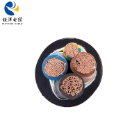 Câble gainé de caoutchouc YCW