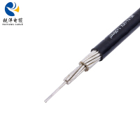 Câble aérien isolé JKLYJ 1 kV