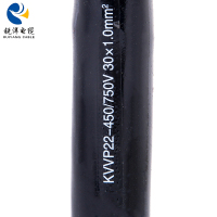 Cavo di controllo rivestito in PVC con armatura in nastro d'acciaio schermato a treccia KVVP22