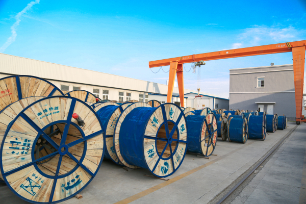 Non-Toxic & Safe: The Environmental 