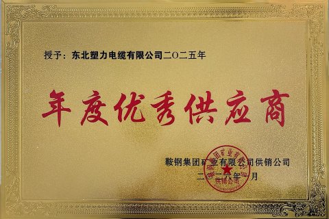 Компания Northeast Suli Cable Co., Ltd. признана компанией Ansteel Mining «ежегодным поставщиком».