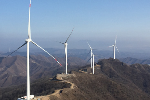 Memberdayakan Jaringan Hijau: Solusi Kabel Khusus untuk Pembangkit Listrik Tenaga Surya & Angin