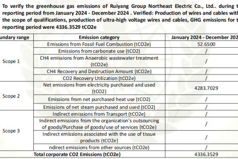 حصلت شركة رويانغ غروب نورث إيست كيبل المحدودة على شهادة التحقق من انبعاثات غازات الاحتباس الحراري، وتدخل مرحلة جديدة من التنمية منخفضة الكربون.