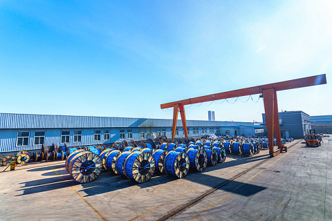 Safeguarding the Power Line: A Guide to Cable Transportation and Storage