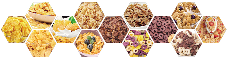 breakfast cereal manufacturing equipment