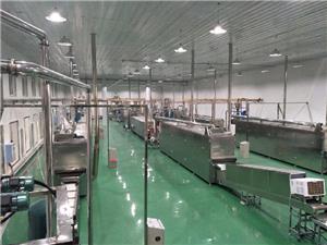 Dubai corn flakes breakfast cereal Production Line Client Case