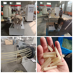 Mesin ekstruder camilan kering