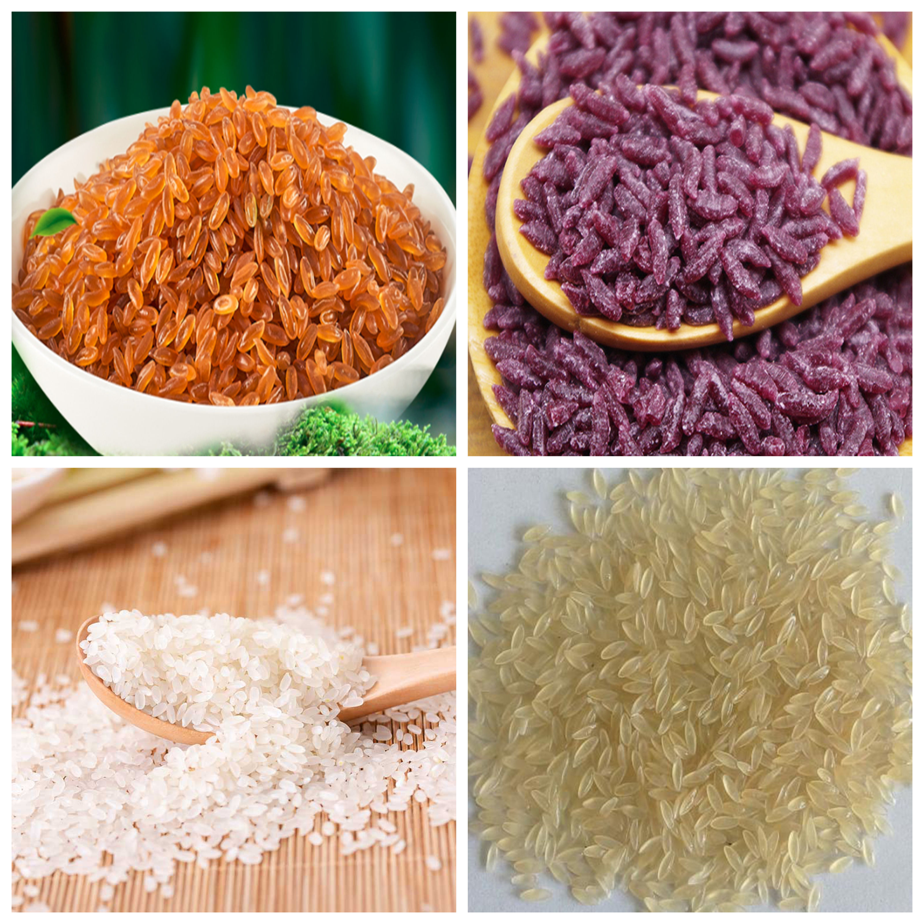 Artificial rice production line