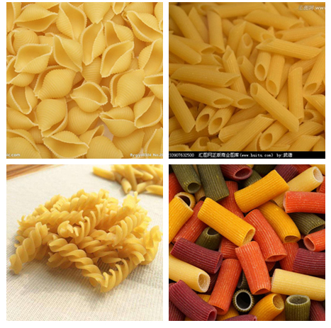 macaroni production line