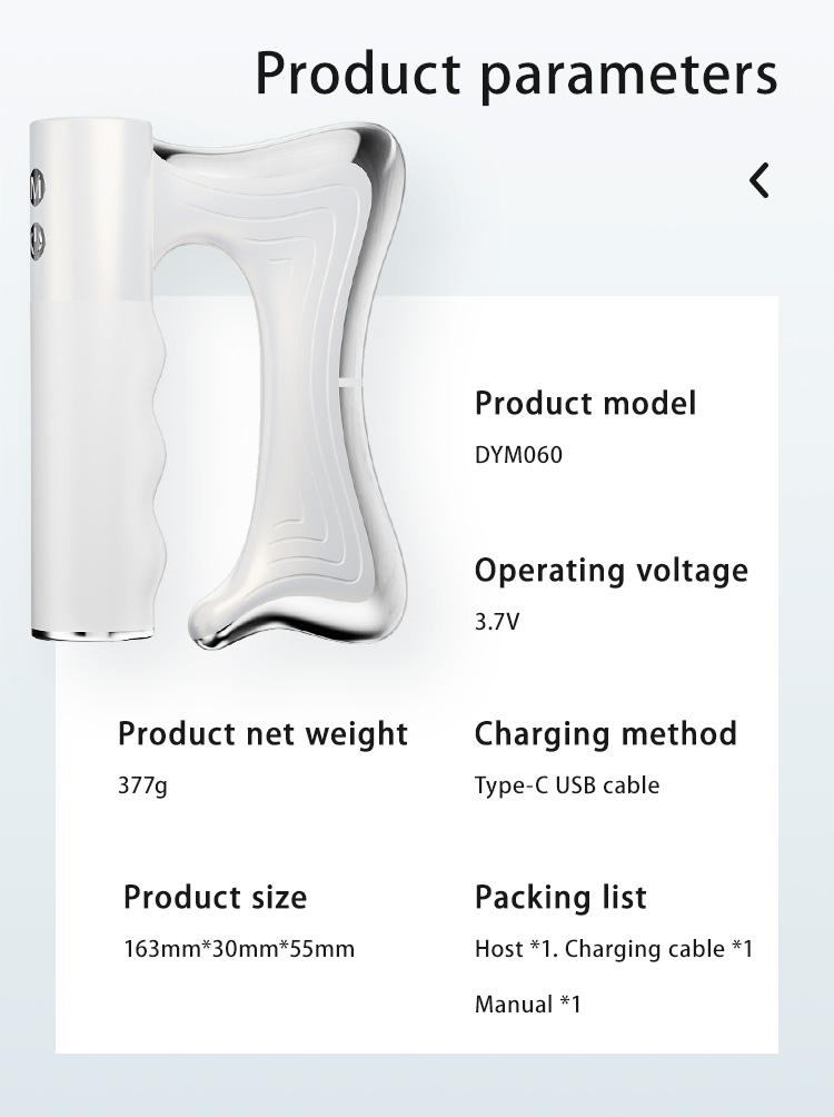 Electric Meridian Device