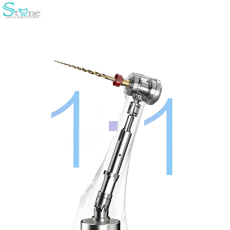Supply Dental Root Canal Motor with Builtin Apex Locator 2 in 1 Endo