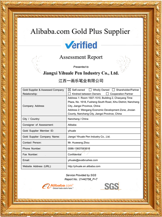 Alibaba Gold Plus supplier for 13 years