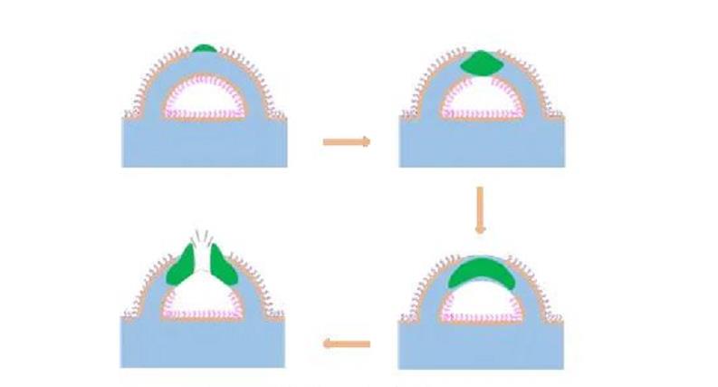 papemaking defoamers