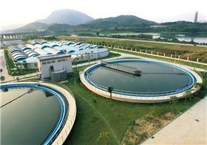 Case Study: On-Site Application of RISE Defoamer in Wastewater Treatment