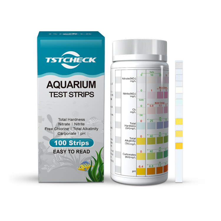 Sea Water Fish Tank Test