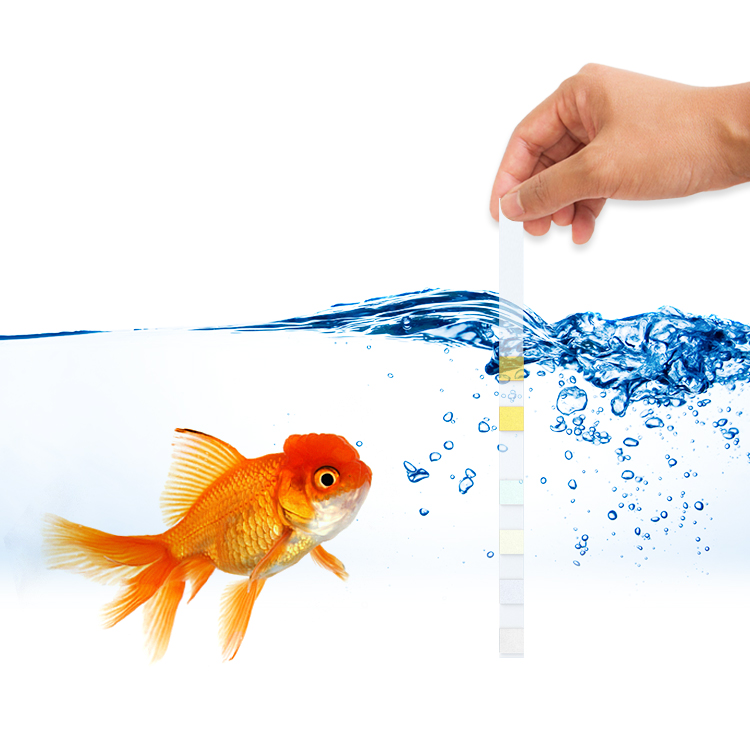 جهاز اختبار مياه حوض السمك